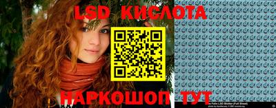 молекула духа Шебекино