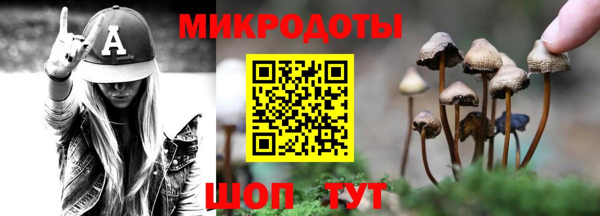 Галлюциногенные грибы мухоморы Лесозаводск