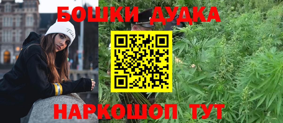 Конопля сатива Лесозаводск